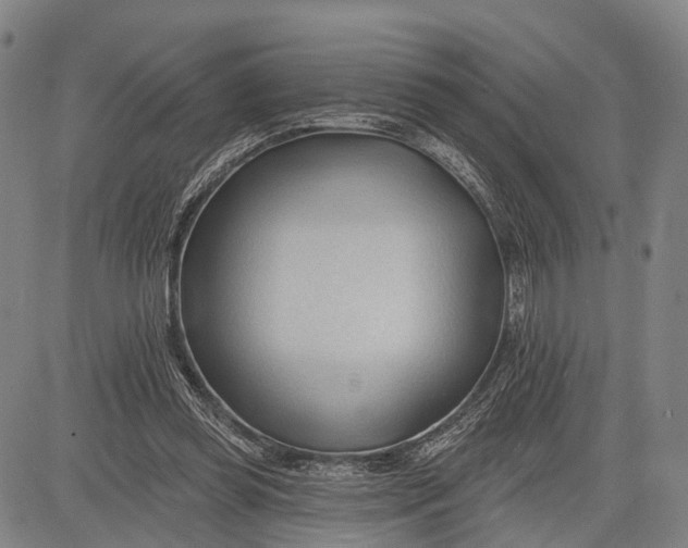 X0000083610349200703051549