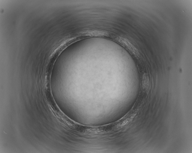 X0000083610351200703051549