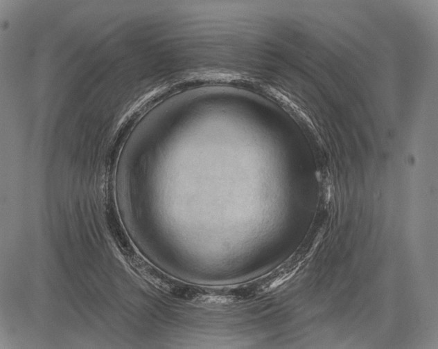 X0000083610352200703051549