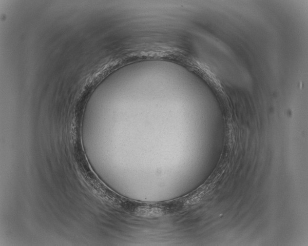 X0000083610354200703051549