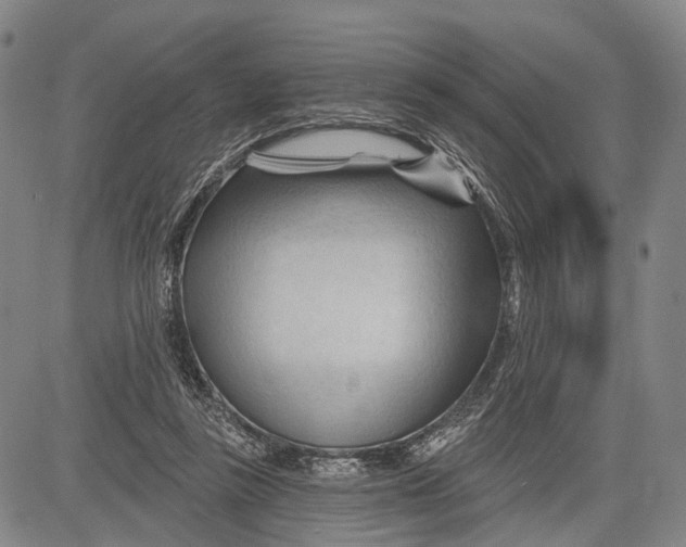 X0000083610355200703051549