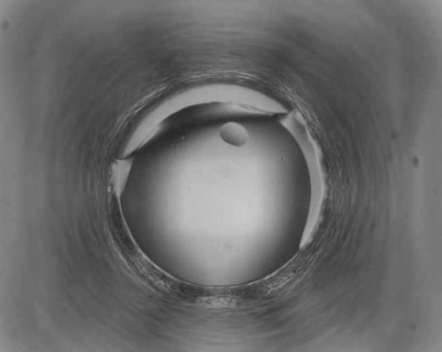 X0000083610356200703051549