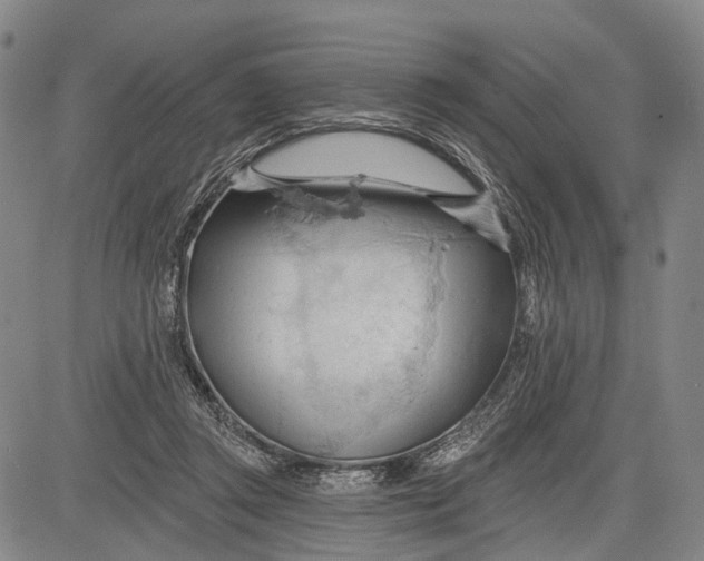 X0000083610357200703051549