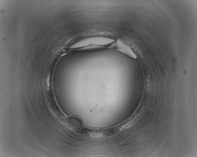 X0000083610358200703051549