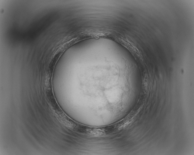 X0000083610359200703051549