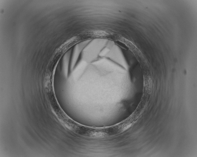 X0000083610360200703051549