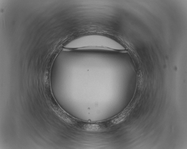 X0000083610361200703051549