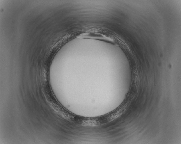 X0000083610362200703051549