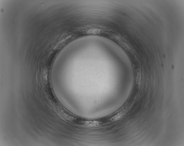 X0000083610363200703051549