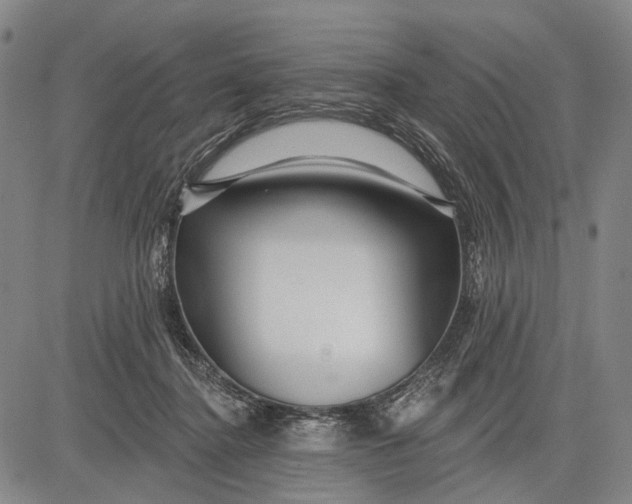 X0000083610364200703051549