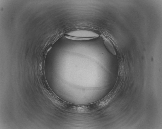 X0000083610365200703051549