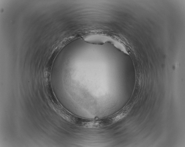 X0000083610366200703051549