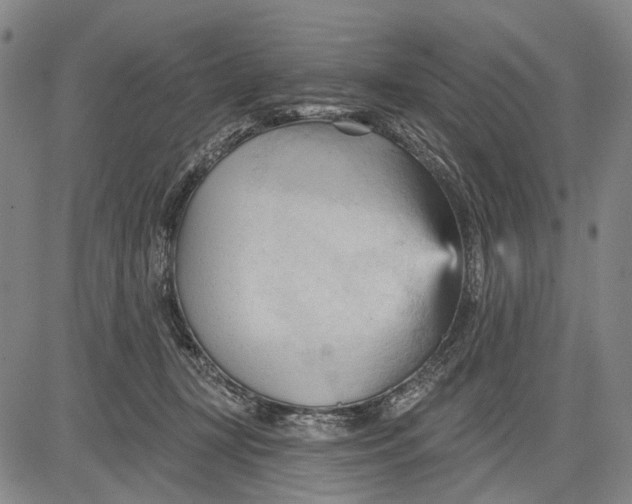 X0000083610367200703051549