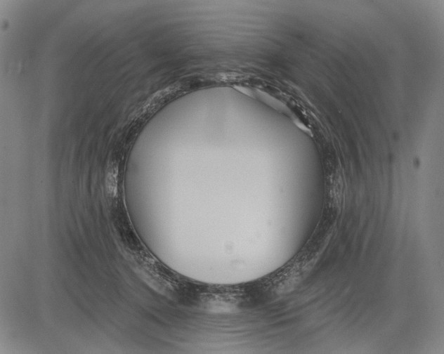 X0000083610368200703051549