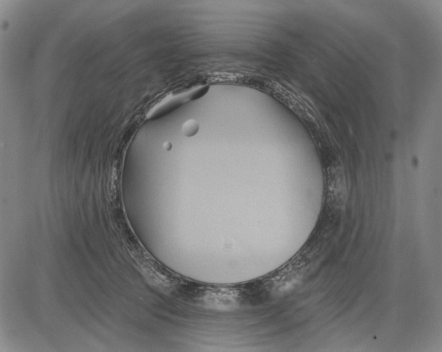 X0000083610369200703051549