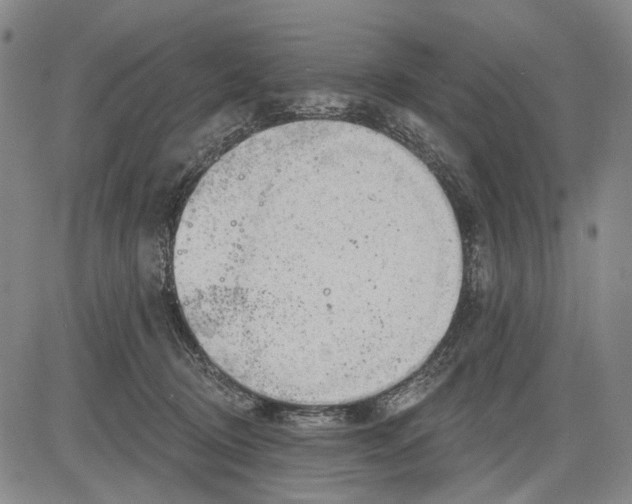 X0000083610370200703051549