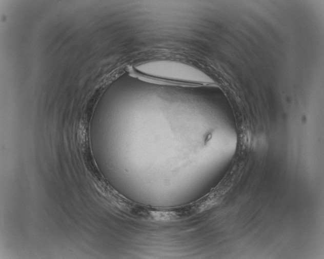 X0000083610371200703051549