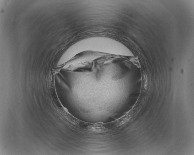 X0000083610372200703051549