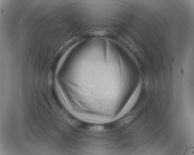 X0000083610374200703051549