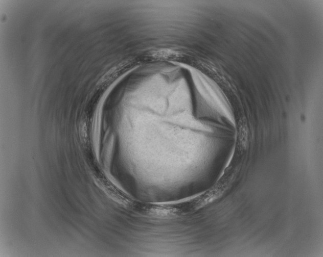 X0000083610375200703051549