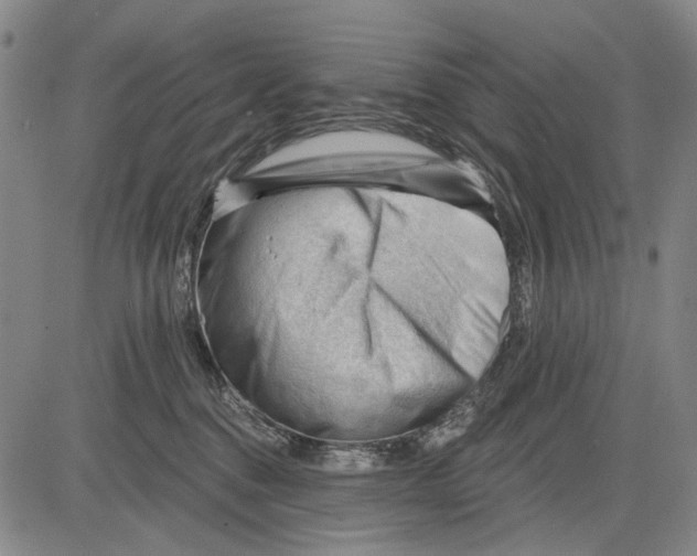 X0000083610376200703051549