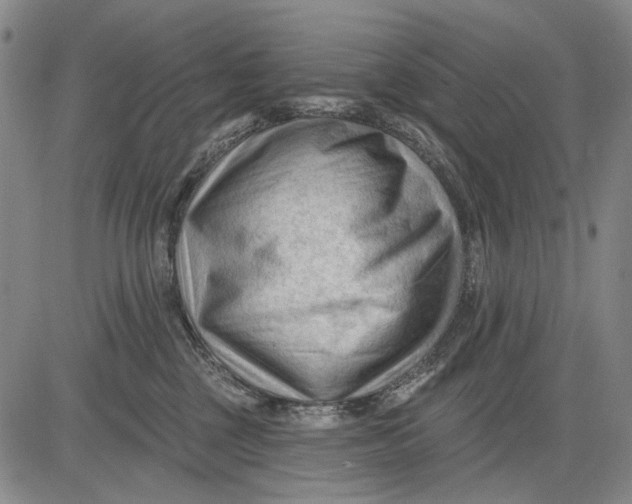 X0000083610377200703051549