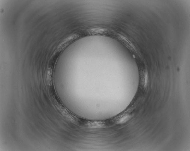 X0000083610378200703051549