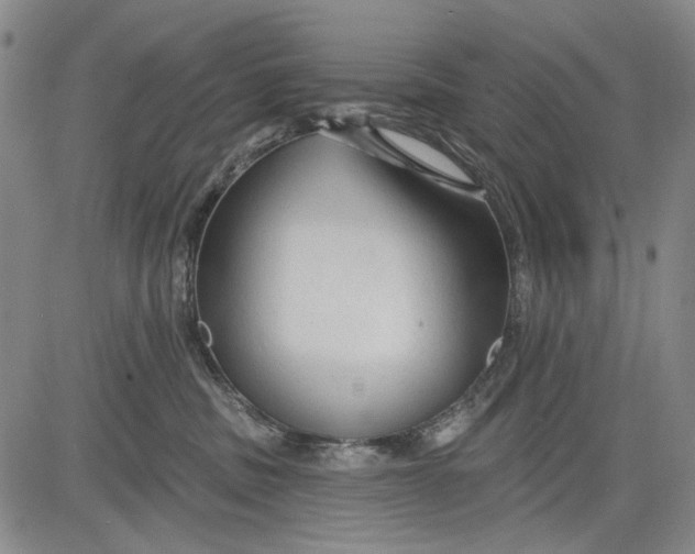 X0000083610379200703051549