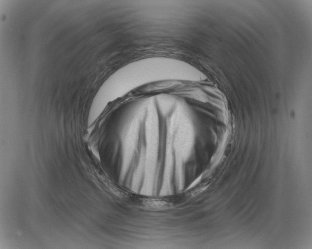 X0000083610380200703051549