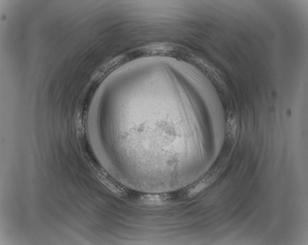 X0000083610381200703051550