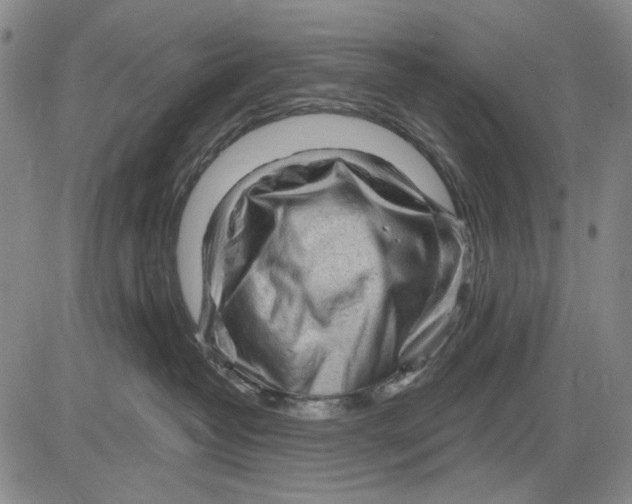 X0000083610382200703051550