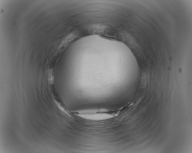 X0000083610383200703051550