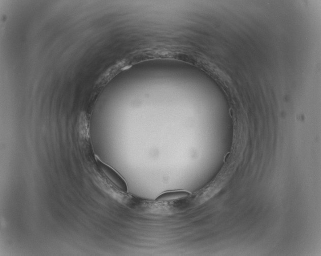 X0000083610384200703051550