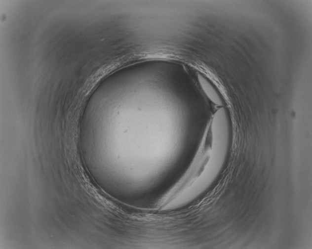 X0000083610385200703051549