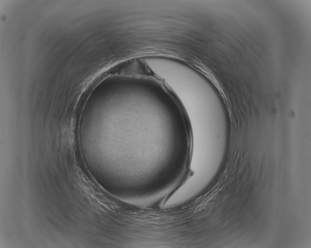 X0000083610387200703051549