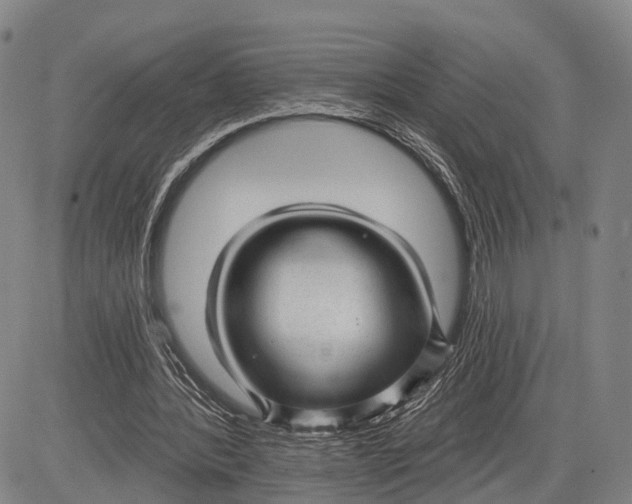 X0000083610388200703051549