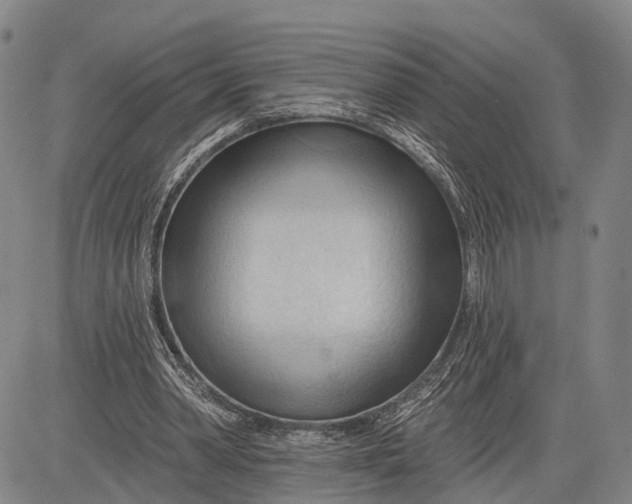 X0000083610390200703051549