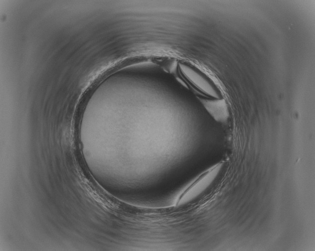 X0000083610391200703051549