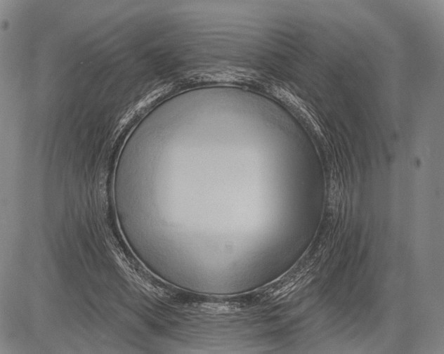 X0000083610394200703051549