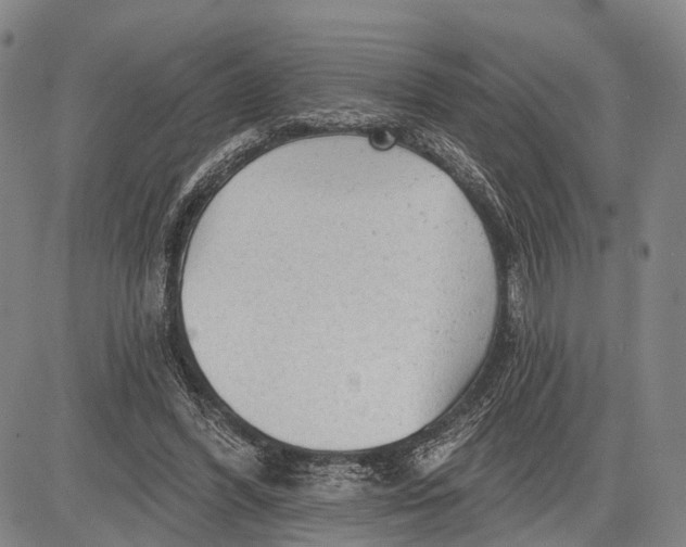 X0000083610396200703051549