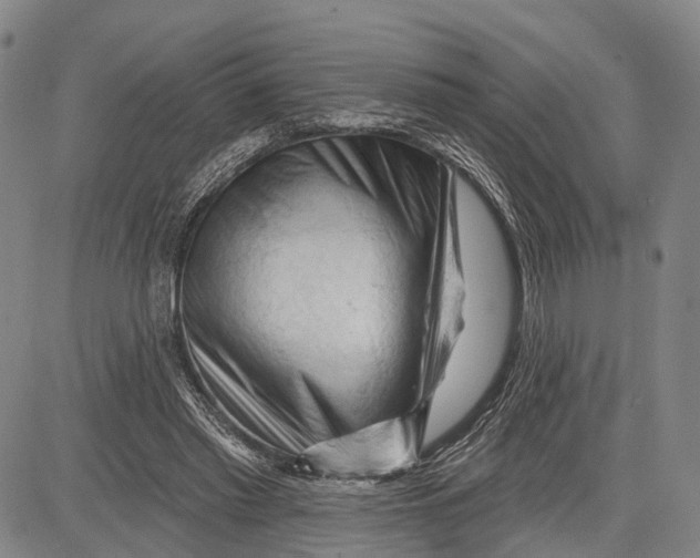 X0000083610397200703051549