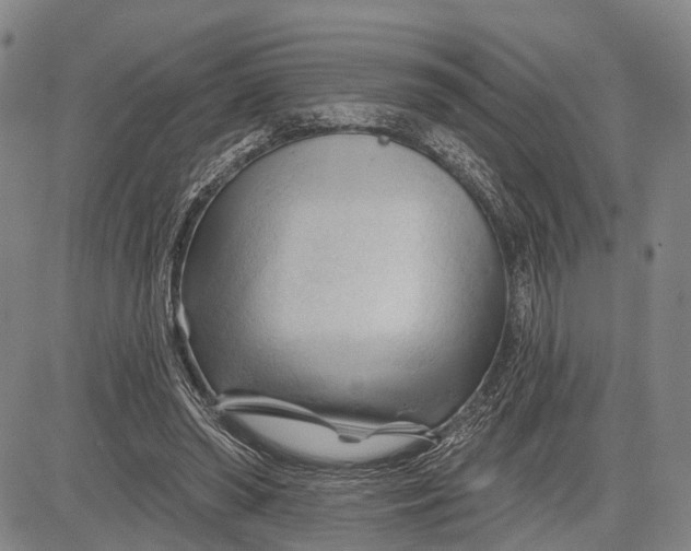 X0000083610398200703051549