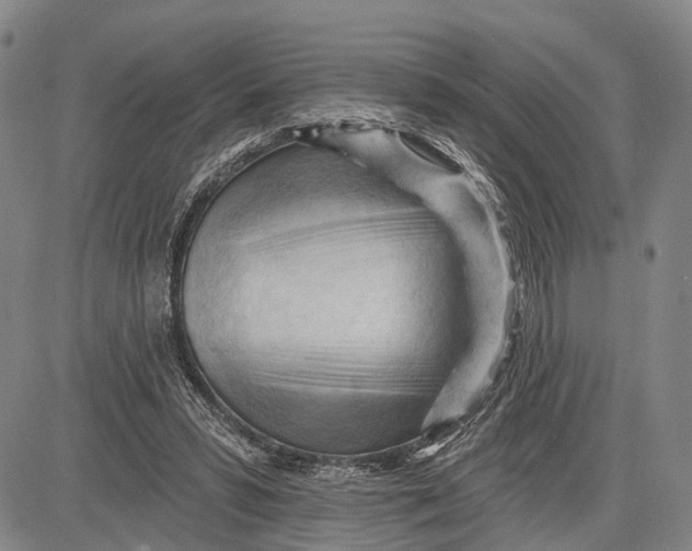 X0000083610399200703051549