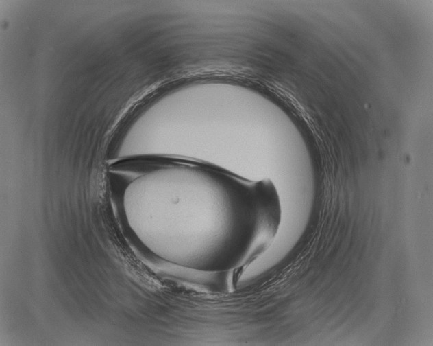 X0000083610400200703051548