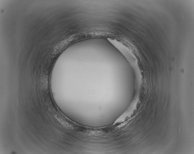 X0000083610401200703051548