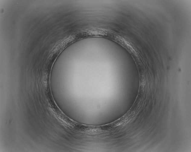 X0000083610402200703051548