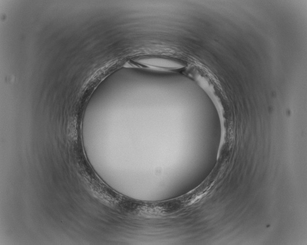 X0000083610403200703051548