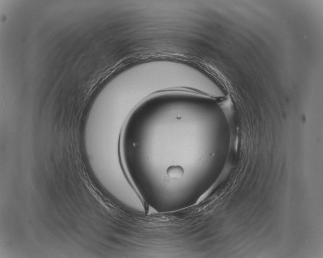 X0000083610405200703051548