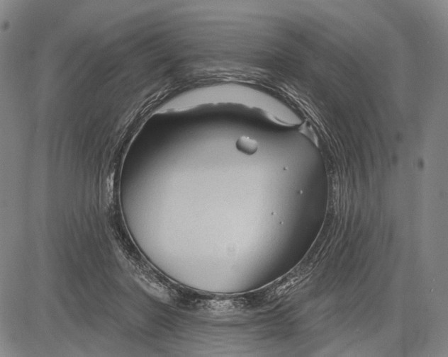 X0000083610406200703051548