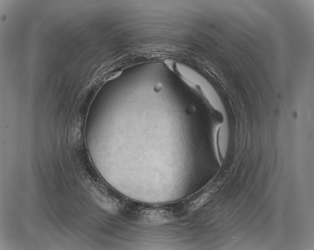 X0000083610408200703051548